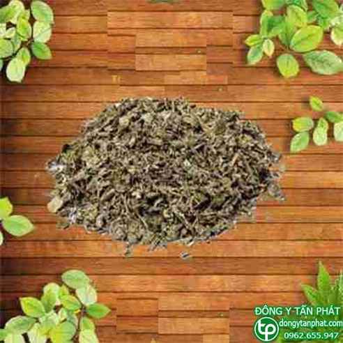 Mua bán sỉ và lẻ chè dây trị đau bao tử viêm loét dạ dạy hiệu quả