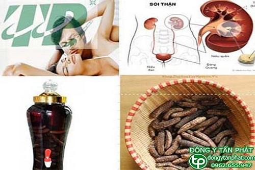 Công dụng của chuối hột rừng