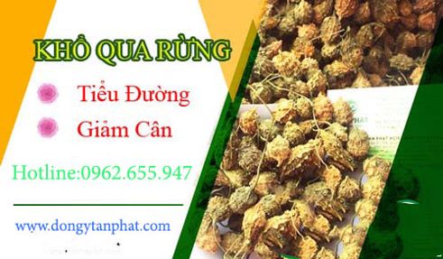 công dụng của khổ qua rừng công dụng của khổ qua rừng