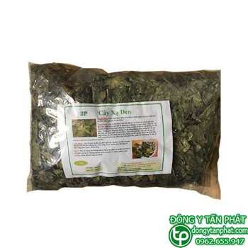 Bán sỉ cây xạ đen tại Điện Biên chất lượng