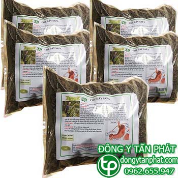 Bán sỉ chè dây tại Huế chất lượng