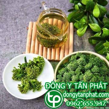 Bán sỉ nụ hoa tam thất tại Kiên Giang chất lượng