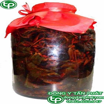 Công ty chuyên cung cấp bán thang thuốc amakong tại Bình Dương