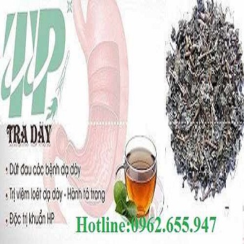 Công ty chuyên cung cấp mua bán chè dây tại Trà Vinh