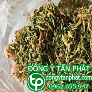Công ty chuyên cung cấp mua bán hoa đu đủ đực tại Quảng Bình
