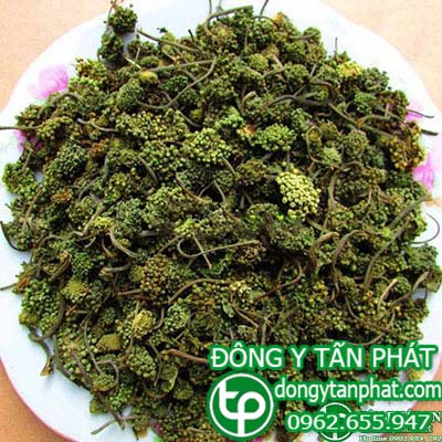 Công ty chuyên cung cấp mua bán nụ hoa tam thất tại Hải Phòng