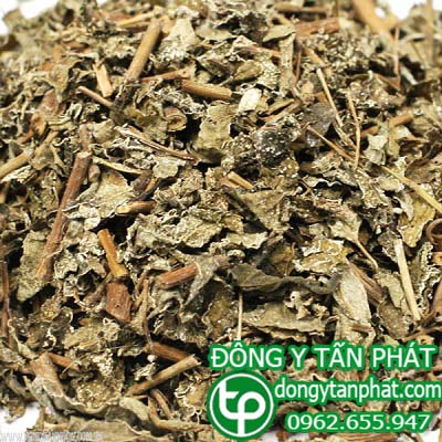 Công ty cung cấp chè dây tại Quảng Nam giao hàng nhanh
