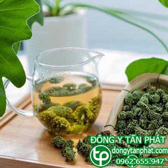 Công ty cung cấp nụ hoa tam thất tại Kiên Giang giao hàng nhanh