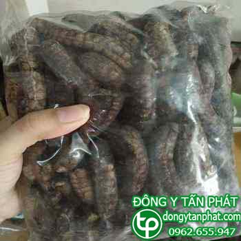Cửa hàng bán chuối hột rừng tại Bình Định chất lượng