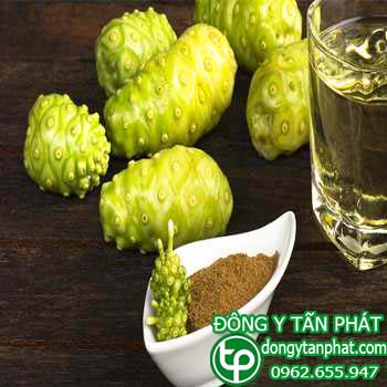 Cửa hàng bán trái nhàu tại Phú Thọ chất lượng