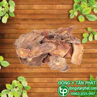 Cung cấp hà thủ ô tại Cà Mau uy tín