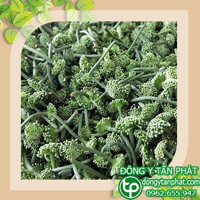 Cung cấp nụ hoa tam thất tại Kiên Giang uy tín
