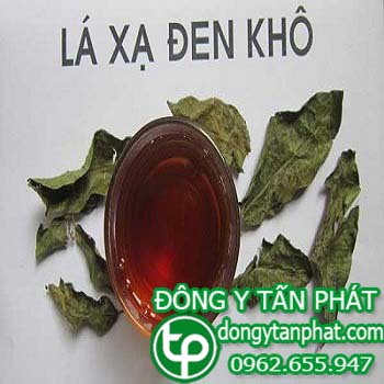 Địa chỉ  bán cây xạ đen tại huyện Tân Phú giúp loại trừ các độc tố