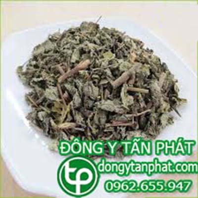 Địa chỉ bán chè dây tại phường Bửu Hòa gía tốt
