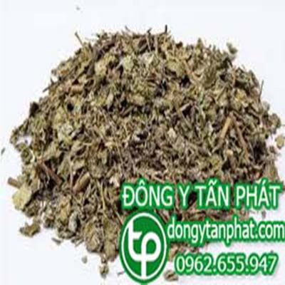 Địa chỉ bán chè dây tại phường Bửu Long giá tốt