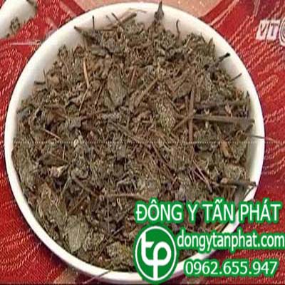 Địa Chỉ bán chè dây tại phường Tân Biên giá tốt