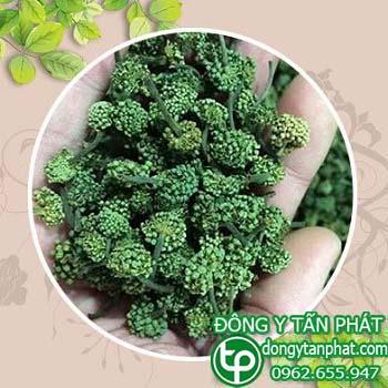 Địa chỉ bán Nụ hoa tam thất tại Phường Bình đa chữa bệnh khó ngủ hiệu quả
