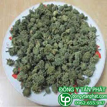 Địa chỉ bán Nụ hoa tam thất tại Phường Bửu long điều trị bệnh suy nhược cơ thể