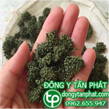 Địa chỉ bán nụ hoa tam thất tại Phường An Bình điều trị bệnh mất ngủ