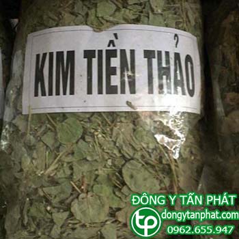 Địa chỉ mua bán kim tiền thảo tại Biên Hòa giúp tăng cường sức khỏe
