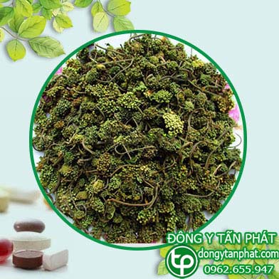 Địa chỉ mua bán nụ hoa tam thất tại Tiền Giang giá tốt