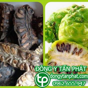 Địa điểm phân phối trái nhàu tại An Giang chất lượng