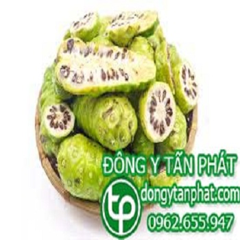 Nơi cung cấp trái nhàu tại Phú Yên uy tín