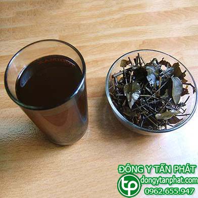 Ở đâu bán chè vằng tại Tây Ninh giá tốt