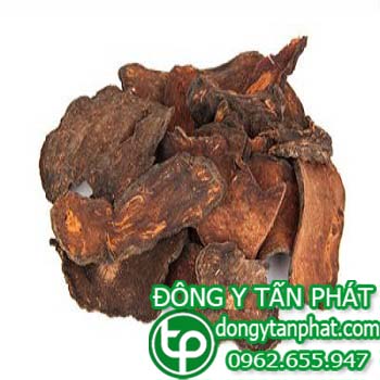 Ở đâu bán hà thủ ô tại Cà Mau giá tốt???