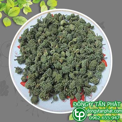 Ở đâu bán nụ hoa tam thất tại Hải Phòng giá tốt???