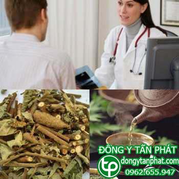 Ở đâu phân phối cây an xoa tại tphcm chất lượng???