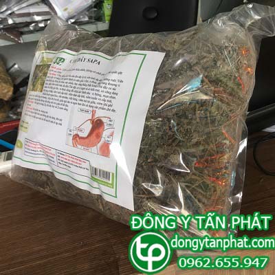 Trung tâm mua bán chè dây tại Huế giá sỉ